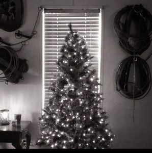 Meet your Posher, Tony